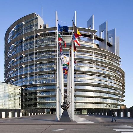 Green Cellar Studio Centre De Strasbourg - 5 Min Conseil De L'Europe Eksteriør billede