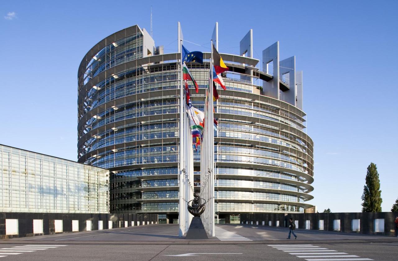 Green Cellar Studio Centre De Strasbourg - 5 Min Conseil De L'Europe Eksteriør billede